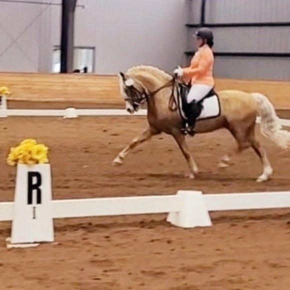 Meet your Posher, Amanda - Picture 1 of 7